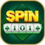 Spin 101